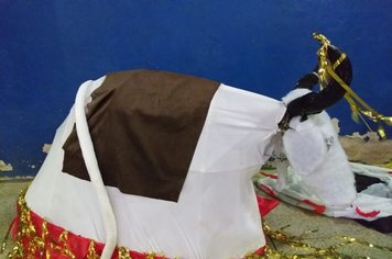 Foto - Atividades Sociais e Culturais