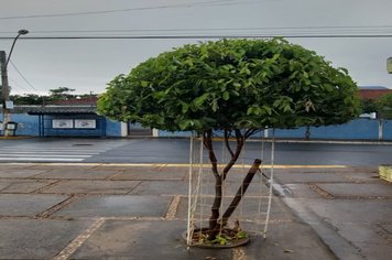 Foto - Manutenção de Vias Públicas e Praças