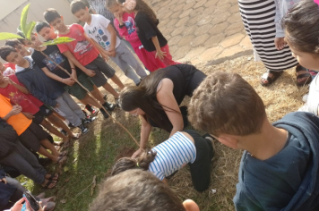 Foto - Prefeitura de Taiúva celebra o Dia Mundial do Meio Ambiente com plantio de árvores nas escolas