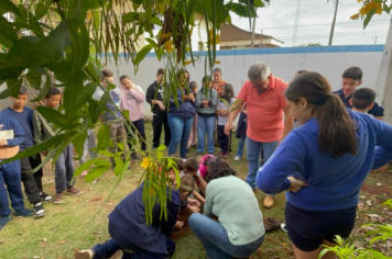Foto - Prefeitura de Taiúva celebra o Dia Mundial do Meio Ambiente com plantio de árvores nas escolas
