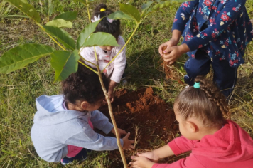 Foto - Prefeitura de Taiúva celebra o Dia Mundial do Meio Ambiente com plantio de árvores nas escolas