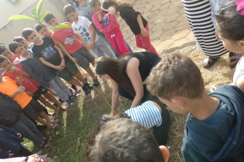 Foto - Prefeitura de Taiúva celebra o Dia Mundial do Meio Ambiente com plantio de árvores nas escolas