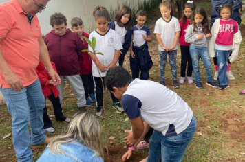 Foto - Prefeitura de Taiúva celebra o Dia Mundial do Meio Ambiente com plantio de árvores nas escolas