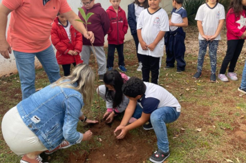 Foto - Prefeitura de Taiúva celebra o Dia Mundial do Meio Ambiente com plantio de árvores nas escolas