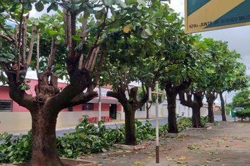 Foto - Manutenção de Vias Públicas e Praças