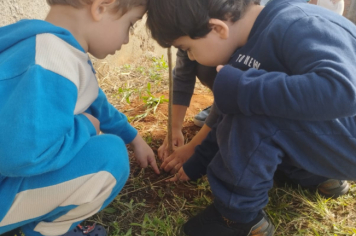 Foto - Prefeitura de Taiúva celebra o Dia Mundial do Meio Ambiente com plantio de árvores nas escolas