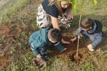 Foto - Prefeitura de Taiúva celebra o Dia Mundial do Meio Ambiente com plantio de árvores nas escolas