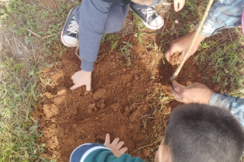 Foto - Prefeitura de Taiúva celebra o Dia Mundial do Meio Ambiente com plantio de árvores nas escolas