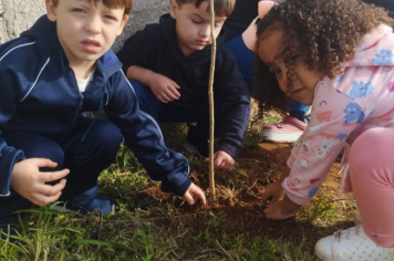 Foto - Prefeitura de Taiúva celebra o Dia Mundial do Meio Ambiente com plantio de árvores nas escolas