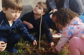 Foto - Prefeitura de Taiúva celebra o Dia Mundial do Meio Ambiente com plantio de árvores nas escolas
