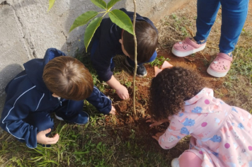 Foto - Prefeitura de Taiúva celebra o Dia Mundial do Meio Ambiente com plantio de árvores nas escolas