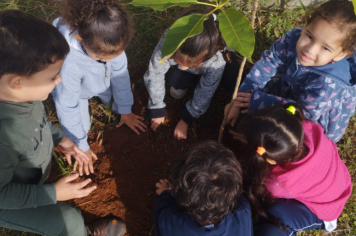 Foto - Prefeitura de Taiúva celebra o Dia Mundial do Meio Ambiente com plantio de árvores nas escolas