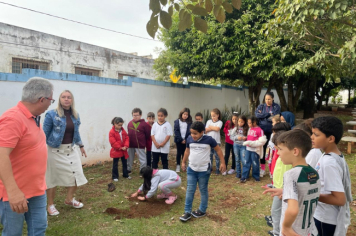 Foto - Prefeitura de Taiúva celebra o Dia Mundial do Meio Ambiente com plantio de árvores nas escolas