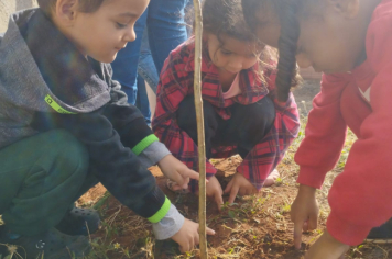 Foto - Prefeitura de Taiúva celebra o Dia Mundial do Meio Ambiente com plantio de árvores nas escolas
