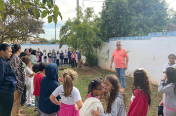 Foto - Prefeitura de Taiúva celebra o Dia Mundial do Meio Ambiente com plantio de árvores nas escolas