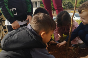 Foto - Prefeitura de Taiúva celebra o Dia Mundial do Meio Ambiente com plantio de árvores nas escolas