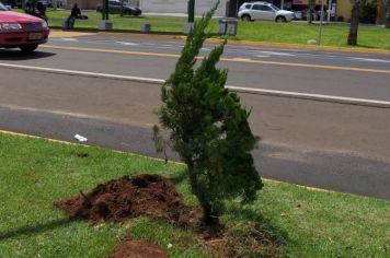 Taiuva - manter o verde nos canteiros de vias e , em novas praças terão continuidade!!