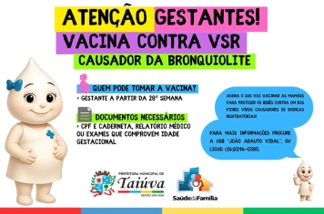 VACINAÇÃO CONTRA O VSR PARA GESTANTES