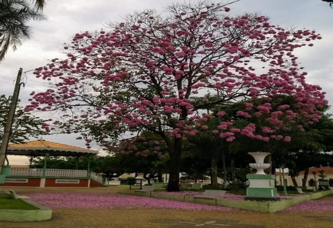 Praça 9 de julho