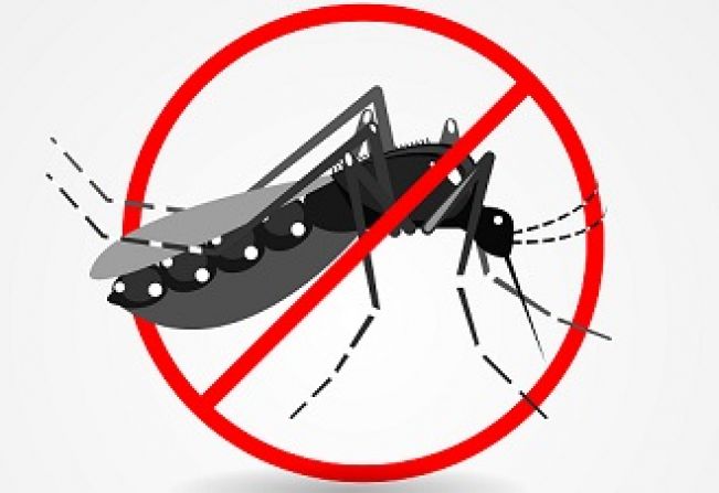 TAIÚVA – PREFEITO INSTITUI A SALA MUNCIPAL DE SITUAÇÃO, COORDENAÇÃO E CONTROLE DAS ARBOVIROSES URBANAS!