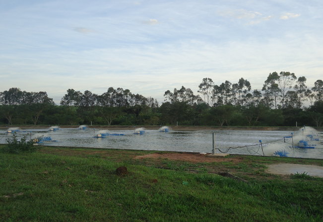 Taiúva - tem 100% de esgoto tratado!