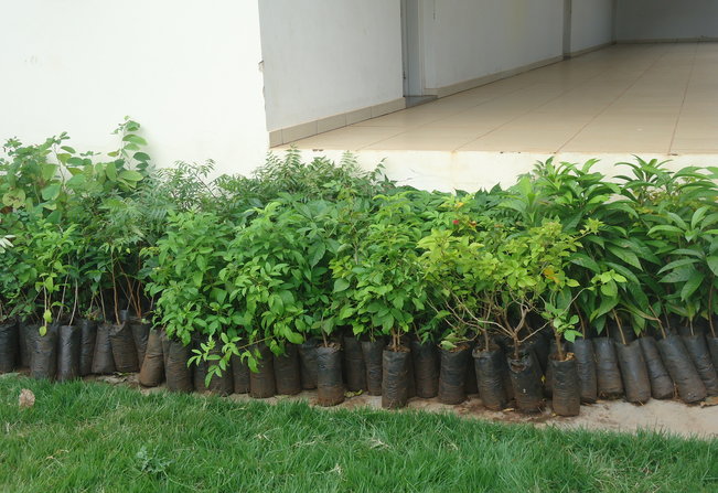 Agradecimento público