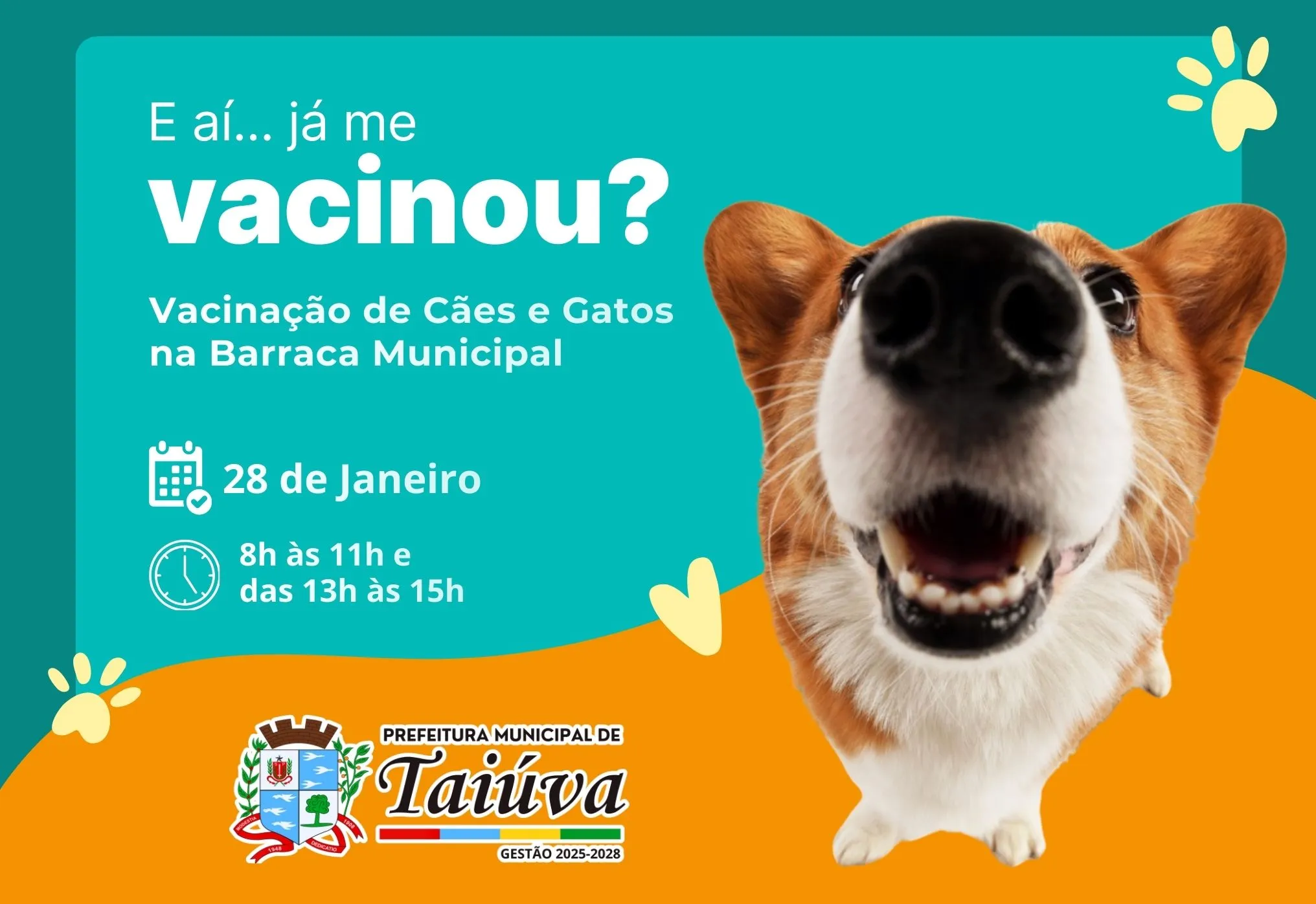 Prefeitura de Taiúva realiza vacinação de cães e gatos
